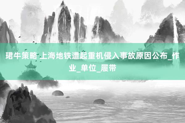 珺牛策略 上海地铁遭起重机侵入事故原因公布_作业_单位_履带