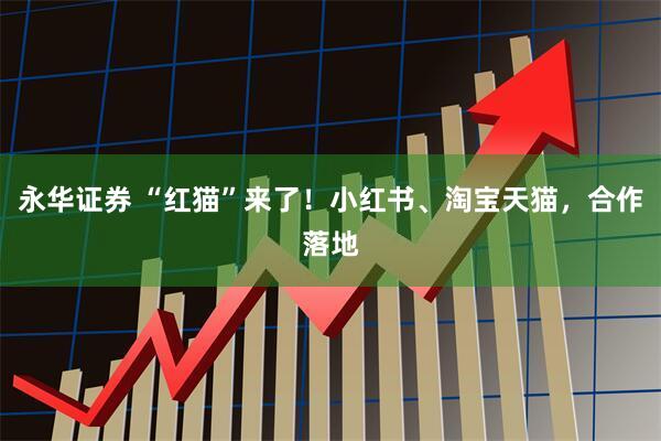 永华证券 “红猫”来了！小红书、淘宝天猫，合作落地