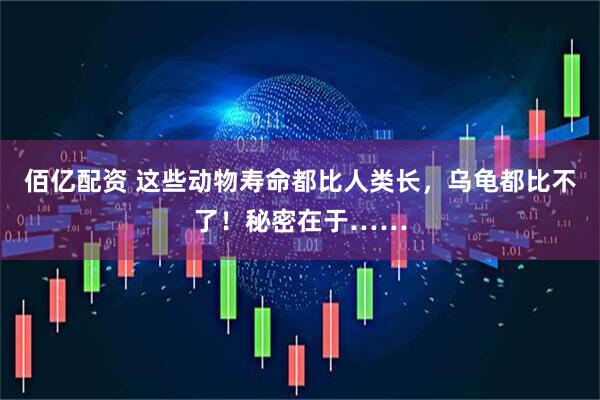 佰亿配资 这些动物寿命都比人类长，乌龟都比不了！秘密在于……