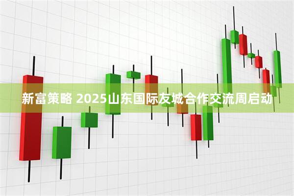 新富策略 2025山东国际友城合作交流周启动