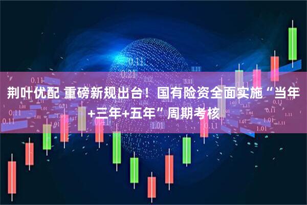荆叶优配 重磅新规出台！国有险资全面实施“当年+三年+五年”周期考核