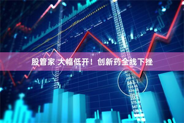 股管家 大幅低开！创新药全线下挫