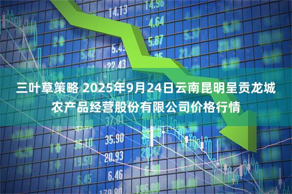 三叶草策略 2025年9月24日云南昆明呈贡龙城农产品经营股份有限公司价格行情