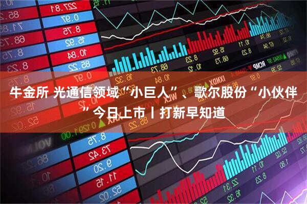 牛金所 光通信领域“小巨人”、歌尔股份“小伙伴”今日上市丨打新早知道