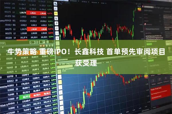 牛势策略 重磅IPO！长鑫科技 首单预先审阅项目获受理